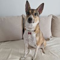 Nora