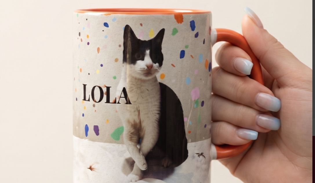 Cum transformi fotografia animalului tău de companie într-un cadou memorabil